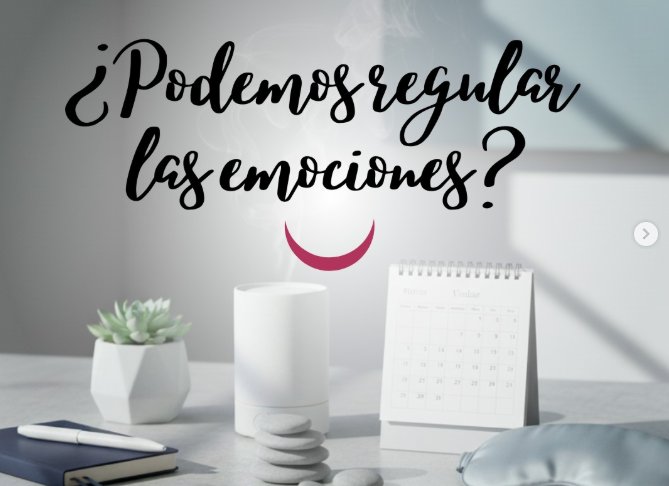 ¿Se pueden regular las emociones? | Reorganización Emocional